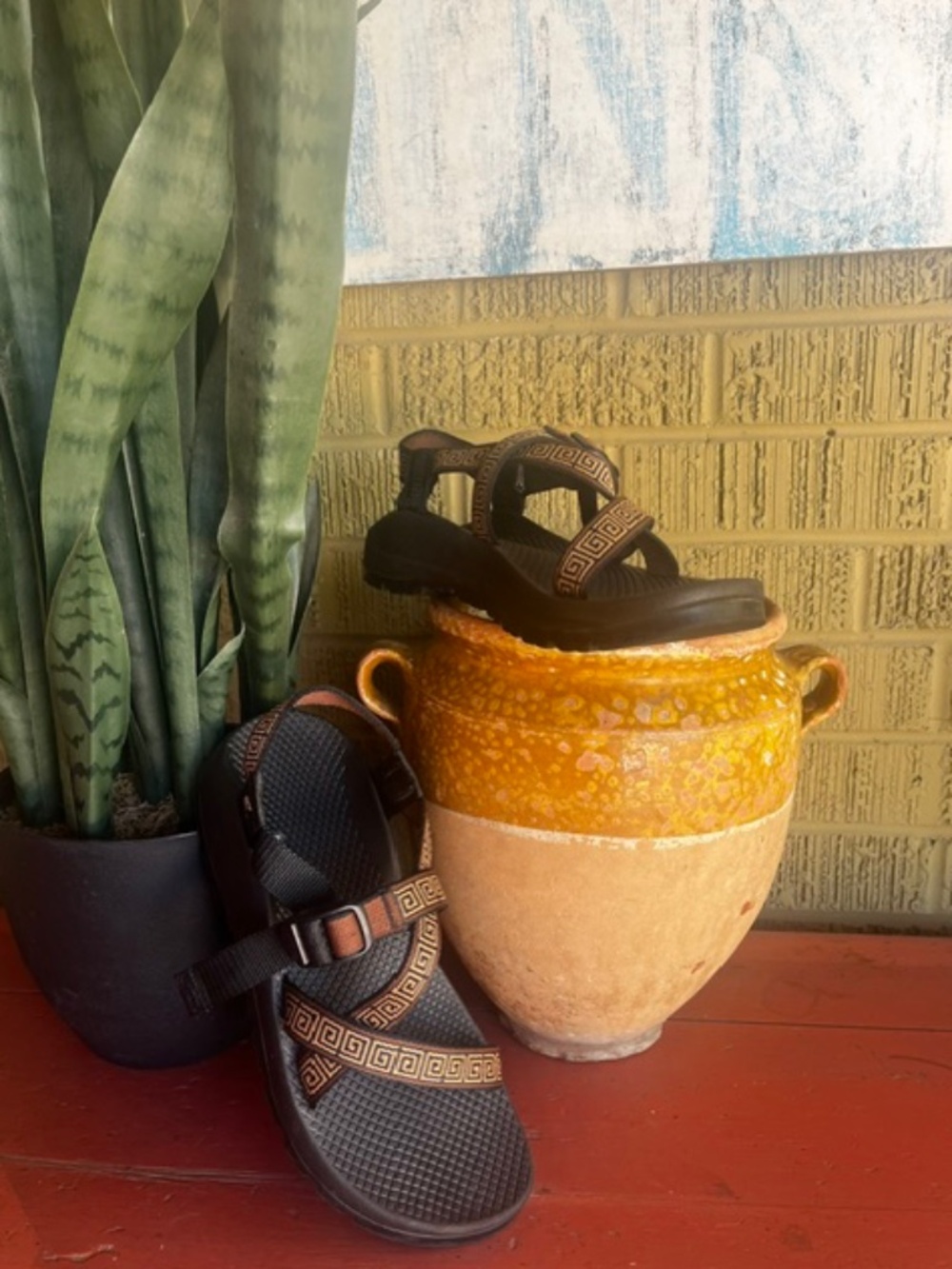 Women's Chaco Z1 - Classic Water Sandals - Brown Greek Key Pattern - W9